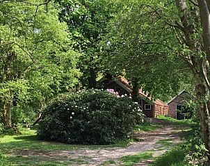 Rustieke toegangspad naar Vakantiehuisje in Vriescheloo, verscholen in het bosrijke landschap van Zuidoost Groningen, perfect voor natuurliefhebbers.