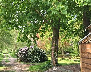 Houten schuur en bloeiende struiken bij Vakantiehuisje in Vriescheloo, Zuidoost Groningen, accentueren de landelijke charme van deze vakantiewoning.