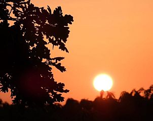 Romantische zonsondergang met silhouet van boom bij Vakantiehuisje in Vriescheloo, Groningen.