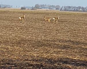 Uitgestrekt landschap rondom vakantiehuisje in Vriescheloo, biedt serene natuurervaring in Zuidoost Groningen.