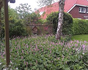 Bloemrijke tuin bij Huisje in Vriescheloo, vakantieaccommodatie in Zuidoost Groningen, omgeven door natuurlijke schoonheid.