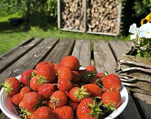 Verse aardbeien op houten tafel bij Vakantiehuis in Vriescheloo, een zomerse traktatie in Groningen.