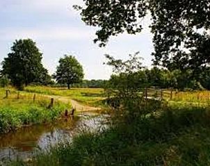 Natuurlijke omgeving rond Vakantiehuis in Vriescheloo, perfect voor wandelingen in Groningen.