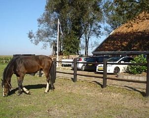 Guest house 350317 - Holiday property Zuidoost Groningen - Vakantiehuis Gem�tlicher Ferienhof Loosternest in Vrieschel