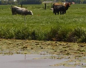 Guest house 350317 - Holiday property Zuidoost Groningen - Vakantiehuis Gem�tlicher Ferienhof Loosternest in Vrieschel