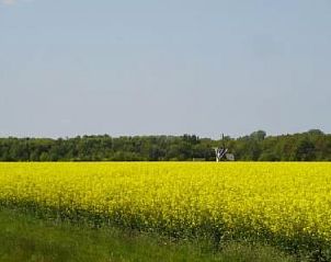 Guest house 350317 - Holiday property Zuidoost Groningen - Vakantiehuis Gem�tlicher Ferienhof Loosternest in Vrieschel