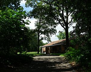 Ingang van Vakantiehuisje in Bellingwolde, omringd door groene bossen in Groningen.