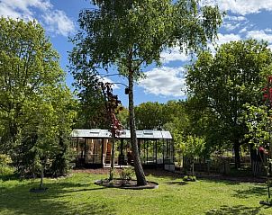 Groene omgeving met serre in de tuin van Vakantiehuis in Bellingwolde, Zuidoost Groningen.