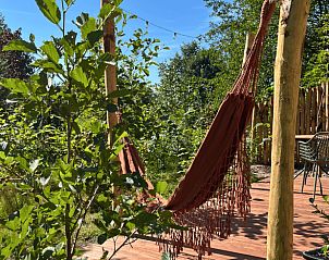 Ontspan in de hangmat met uitzicht op de natuur bij Vakantiehuis in Bellingwolde, Zuidoost Groningen.