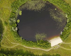 Vijver omringd door natuur in de buurt van Vakantiehuis in Bellingwolde.