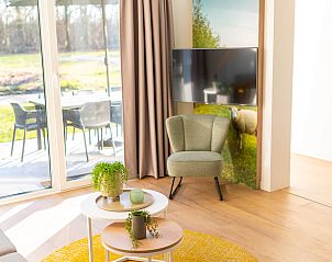 Stijlvolle lamp in de woonkamer van de vakantiewoning in Sellingen, Zuidoost Groningen, Groningen.