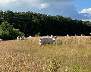 Unterkunft 350613 - Ferienhaus Zuidoost Groningen - Huisje in Sellingen