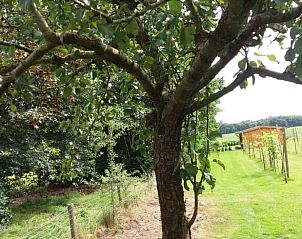 Guest house 350625 - Holiday property Zuidoost Groningen - Vakantiehuis in Sellingen
