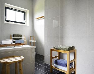 Luxe badkamer in Vakantiehuis Lieskehuis Wellness de Luxe 10+2, Vlagtwedde, met moderne faciliteiten en ruime douche.