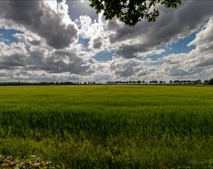Unterkunft 351313 - Ferienhaus Zuidoost Groningen - Huisje in Wedde