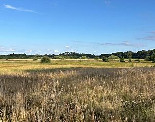 Unterkunft 351329 - Ferienhaus Zuidoost Groningen - Huisje in Wedde