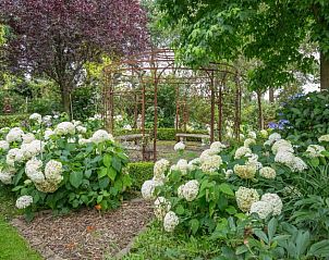 Prachtige bloementuin bij Vakantiehuis Westerwolde in Onstwedde, een oase van rust in Zuidoost Groningen.