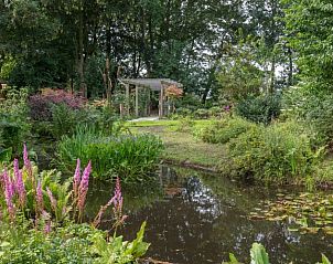 Schilderachtige vijver in de tuin van Vakantiehuis Westerwolde, Onstwedde, omringd door weelderige natuur in Groningen.