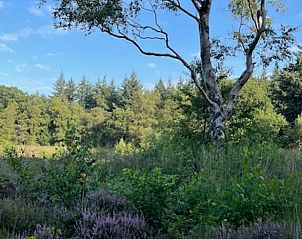 Unterkunft 351412 - Ferienhaus Zuidoost Groningen - Huisje in Onstwedde