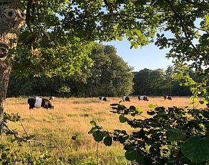 Unterkunft 351413 - Ferienhaus Zuidoost Groningen - Huisje in Onstwedde