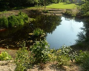 Rustieke vijver in de tuin van Vakantiehuis in Veelerveen, een oase van natuur in Groningen.
