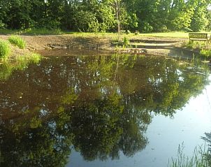 Vijver met reflecties van bomen bij Vakantiehuis in Veelerveen, biedt een rustige plek in Zuidoost Groningen.