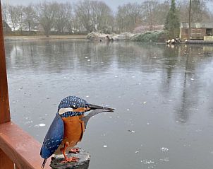 Guest house 351701 - Holiday property Zuidoost Groningen - GR046