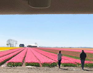 Guest house 351701 - Holiday property Zuidoost Groningen - GR046