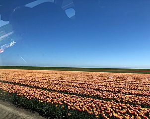 Guest house 351701 - Holiday property Zuidoost Groningen - GR046