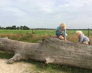Kinderen spelen in de natuurlijke omgeving van GR029 vakantiehuis, Tripscompagnie, Groningen, perfect voor een gezinsvakantie.