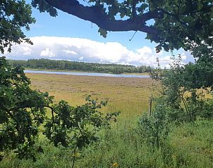 Prachtig natuurlandschap rondom Vakantiehuisje in Tripscompagnie, Zuidoost Groningen, met weids uitzicht over het veld.