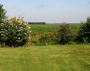 Uitzicht op weidse velden vanuit Huisje in Mussel, vakantiehuis in Zuidoost Groningen.