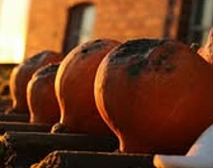 Unterkunft 353601 - Ferienhaus Zuidoost Groningen - Vakantiehuisje in Vledderveen