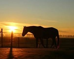 Unterkunft 353601 - Ferienhaus Zuidoost Groningen - Vakantiehuisje in Vledderveen
