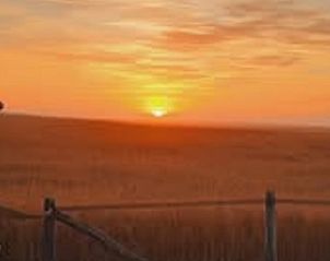 Unterkunft 353601 - Ferienhaus Zuidoost Groningen - Vakantiehuisje in Vledderveen