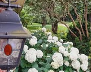 Unterkunft 353601 - Ferienhaus Zuidoost Groningen - Vakantiehuisje in Vledderveen