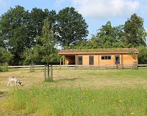 Unterkunft 360103 • Ferienhaus Zuidwest Groningen • Vakantiehuisje in Oldekerk 