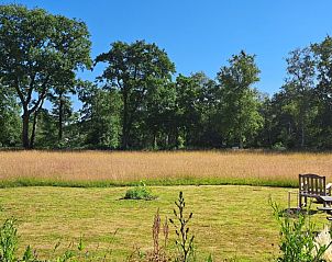 Uitzicht op de groene omgeving van bed & breakfast DE DOBBE in Glimmen, Groningen.