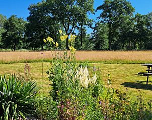 Uitzicht op de bloementuin en velden bij bed & breakfast DE DOBBE in Glimmen, Groningen.