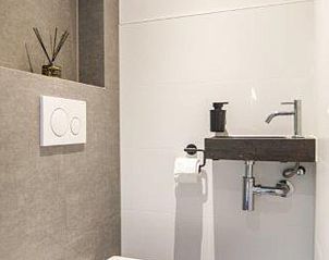 Compacte badkamer in Huisje in Haren, vakantieverblijf in Zuidwest Groningen, stijlvol en functioneel.