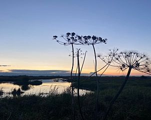 Adembenemend uitzicht op het meer nabij vakantiehuisje in Haren, Zuidwest Groningen, bij zonsondergang.