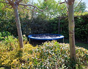 Gezellige trampoline in de tuin van Vakantiehuisje in Haren, perfect voor ontspanning in Zuidwest Groningen.