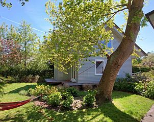Schaduwrijke tuin bij Vakantiehuisje in Haren, ideaal voor rust en natuur in Zuidwest Groningen.