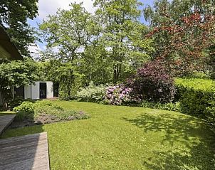 Groene tuin bij Vakantiehuisje in Haren, een prachtige plek om te genieten van de natuur in Zuidwest Groningen.