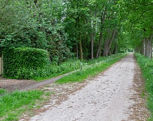 Rustiek pad in de buurt van Huisje in Haren vakantiehuis, Groningen