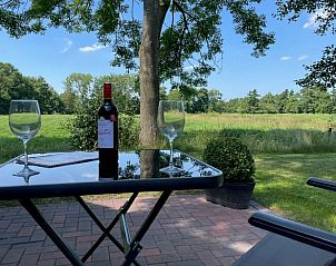 Uitzicht vanaf het terras van Vakantiehuisje in Noordwijk, biedt een serene ervaring in de natuur van Zuidwest Groningen.