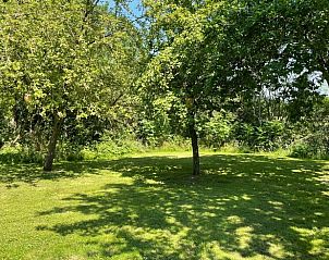 Schaduwrijke tuin met bomen bij Vakantiehuisje in Noordwijk, Groningen.