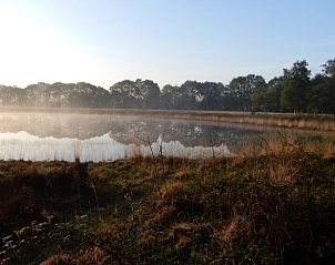 Weiland met dieren nabij Huisje in Opende, vakantiehuis in Zuidwest Groningen.