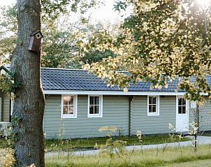 Unterkunft 362104 - Ferienhaus Zuidwest Groningen - Hondvriendelijk Zweeds Dorpshuisje
