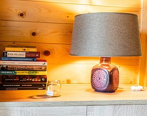 Gezellige leeshoek in Vakantiehuis in Noordlaren, Zuidwest Groningen, met boeken en sfeervolle lamp.